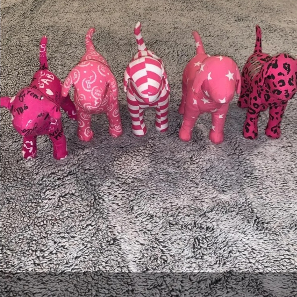 VS PINK Dogs